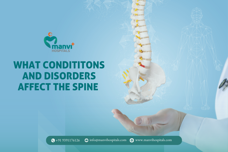What conditions and disorders affect the spine