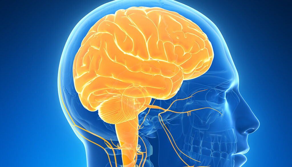 What is a Neurological Problem?