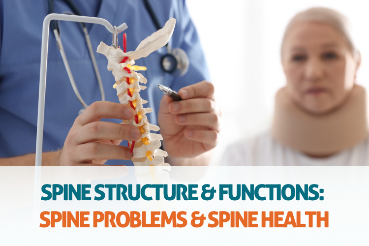 Spine Structure & Functions: Spine Problems & Spine health.